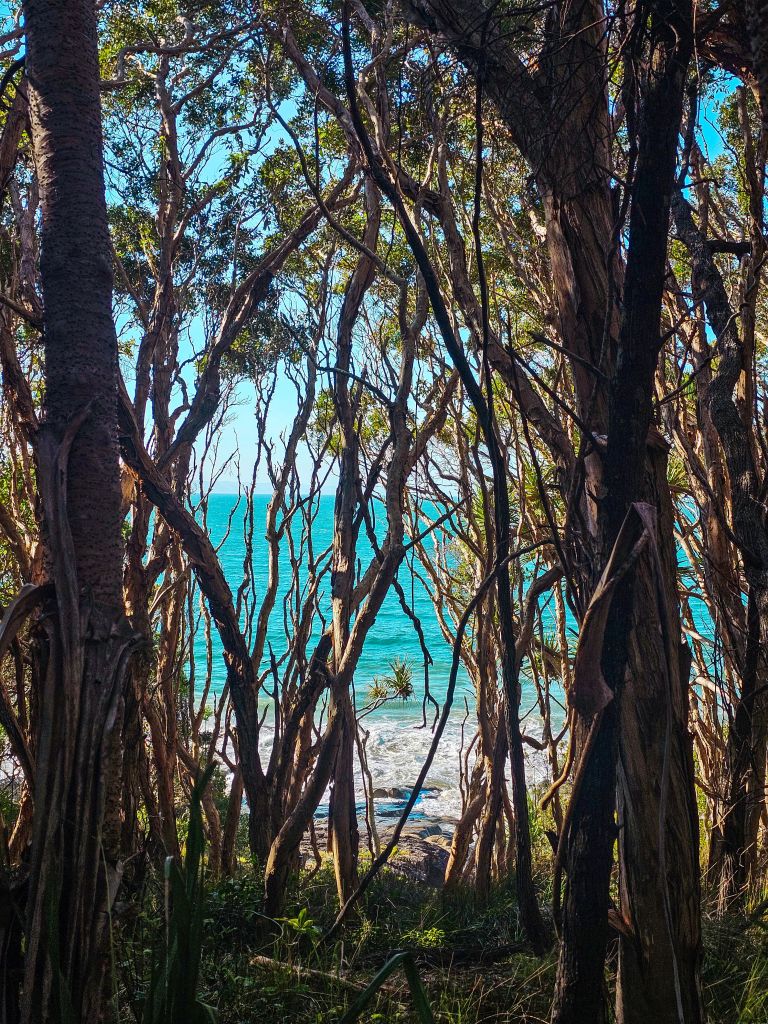 Noosa Main Beach, Queensland, Australia East Coast road trip